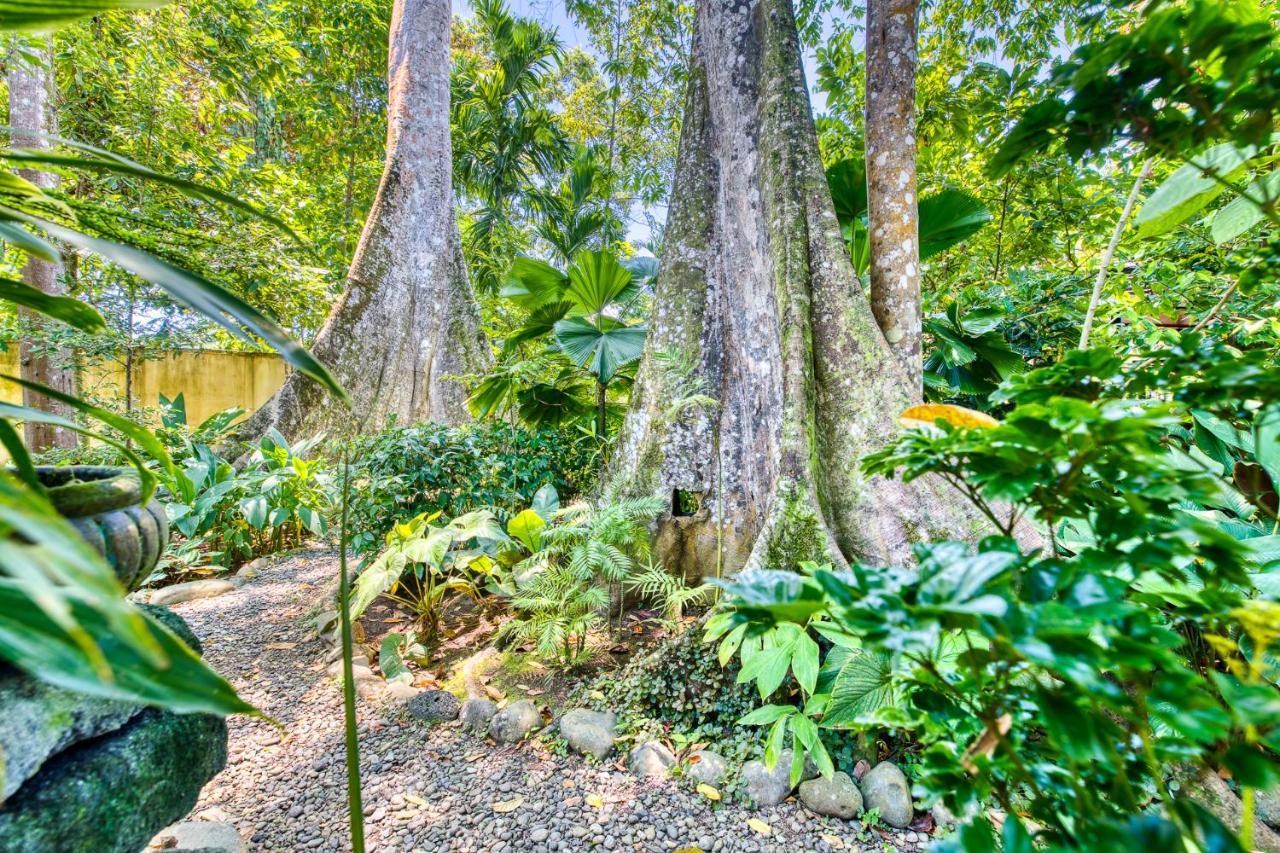 Villas Pina - Adults Only Puerto Viejo de Talamanca المظهر الخارجي الصورة