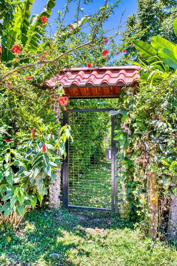 Villas Pina - Adults Only Puerto Viejo de Talamanca المظهر الخارجي الصورة